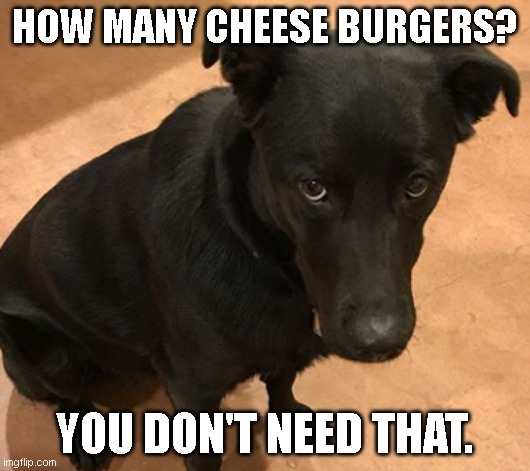 HOW MANY CHEESE BURGERS? YOU DON'T NEED THAT. | made w/ Imgflip meme maker