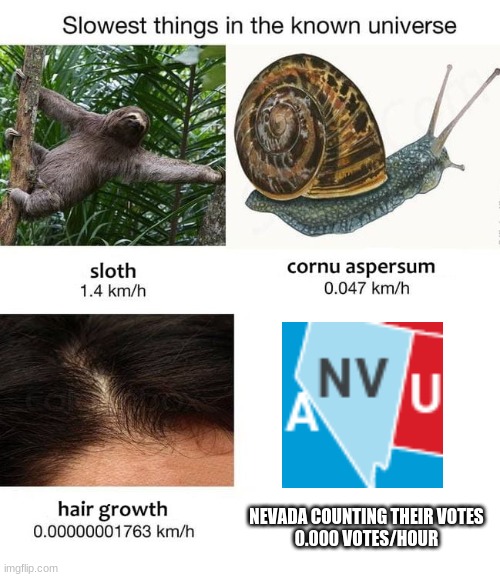 Comment something slower than nevada's vote counting | NEVADA COUNTING THEIR VOTES
0.000 VOTES/HOUR | image tagged in slowest things,elections,politics,memes,funny,election 2020 | made w/ Imgflip meme maker
