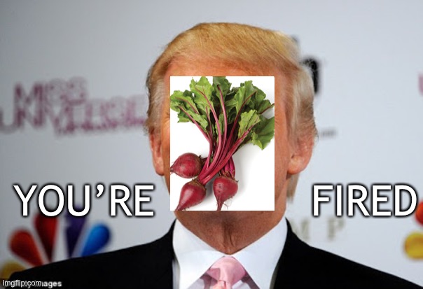 Donald trump approves | FIRED; YOU’RE | image tagged in donald trump approves,me first,biden,trump,face beat,beets | made w/ Imgflip meme maker