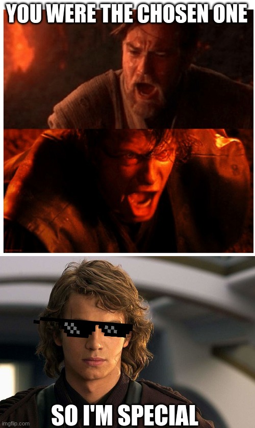 YOU WERE THE CHOSEN ONE; SO I'M SPECIAL | image tagged in you were the chosen one blank,special | made w/ Imgflip meme maker