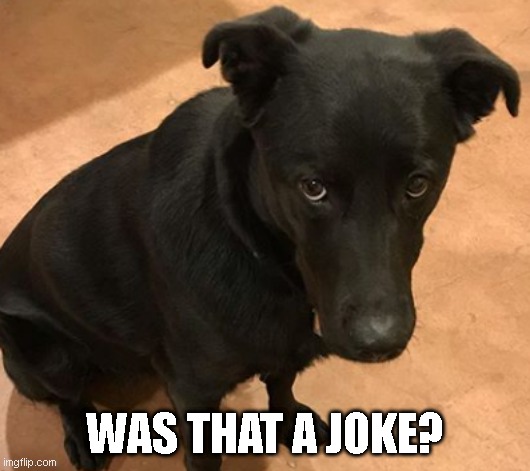 WAS THAT A JOKE? | made w/ Imgflip meme maker