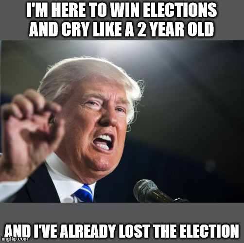Nothing like extreme right winger tears | I'M HERE TO WIN ELECTIONS AND CRY LIKE A 2 YEAR OLD; AND I'VE ALREADY LOST THE ELECTION | image tagged in donald trump,election 2020,special kind of stupid | made w/ Imgflip meme maker