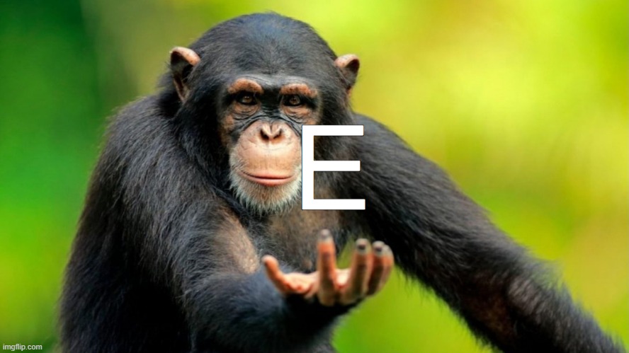 E Monkey | image tagged in haha monkey,monkey,haha,e | made w/ Imgflip meme maker