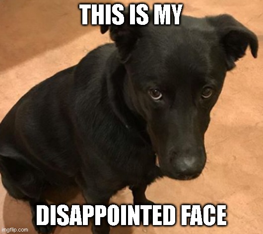 THIS IS MY; DISAPPOINTED FACE | made w/ Imgflip meme maker