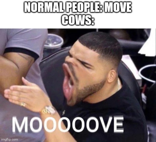 Mooooove | NORMAL PEOPLE: MOVE
COWS: | image tagged in mooooove,cows | made w/ Imgflip meme maker