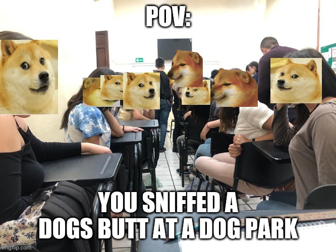 True story | POV:; YOU SNIFFED A DOGS BUTT AT A DOG PARK | image tagged in girls in class looking back | made w/ Imgflip meme maker