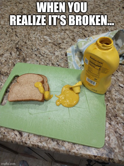 Mustard | WHEN YOU REALIZE IT'S BROKEN... | image tagged in fun | made w/ Imgflip meme maker