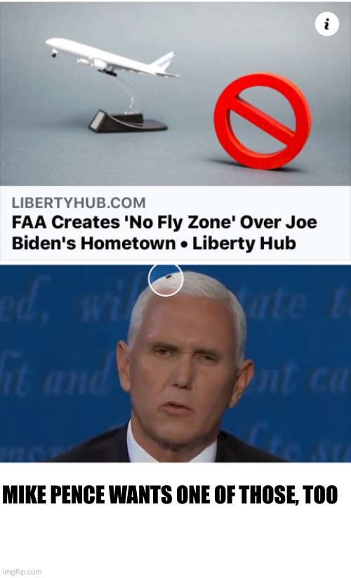 Only Fair To Share | MIKE PENCE WANTS ONE OF THOSE, TOO | image tagged in no fly zone,fly,mike pence,joe biden,vice presidents | made w/ Imgflip meme maker