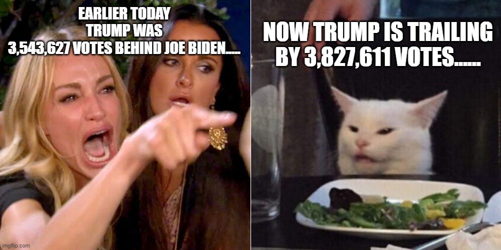 Vote Count | EARLIER TODAY TRUMP WAS 3,543,627 VOTES BEHIND JOE BIDEN..... NOW TRUMP IS TRAILING BY 3,827,611 VOTES...... | image tagged in 2020 elections | made w/ Imgflip meme maker