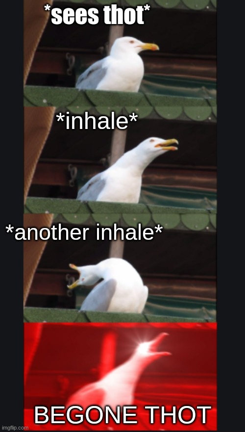 BEGONE THOTS | *sees thot*; *inhale*; *another inhale*; BEGONE THOT | image tagged in funny meme,screaming seagulls | made w/ Imgflip meme maker