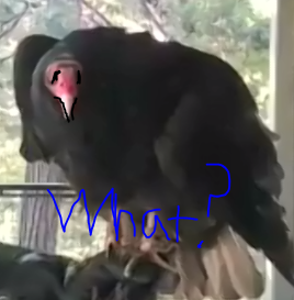 High Quality Worried Vulture Blank Meme Template