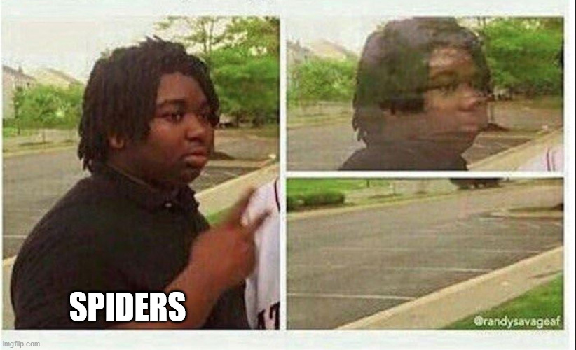 Black guy disappearing | SPIDERS | image tagged in black guy disappearing | made w/ Imgflip meme maker