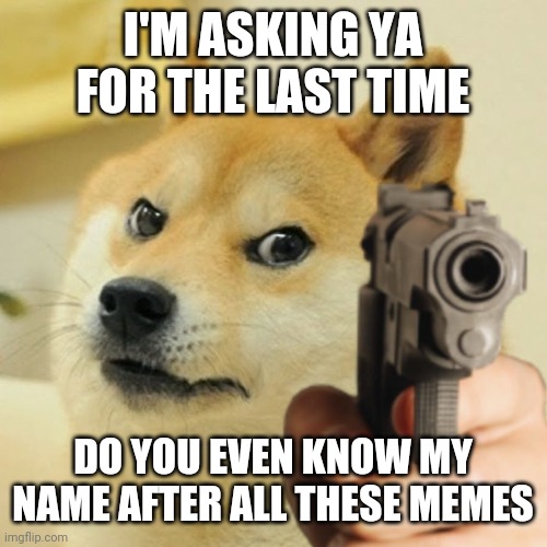 Doge it is. | I'M ASKING YA FOR THE LAST TIME; DO YOU EVEN KNOW MY NAME AFTER ALL THESE MEMES | image tagged in doge holding a gun | made w/ Imgflip meme maker