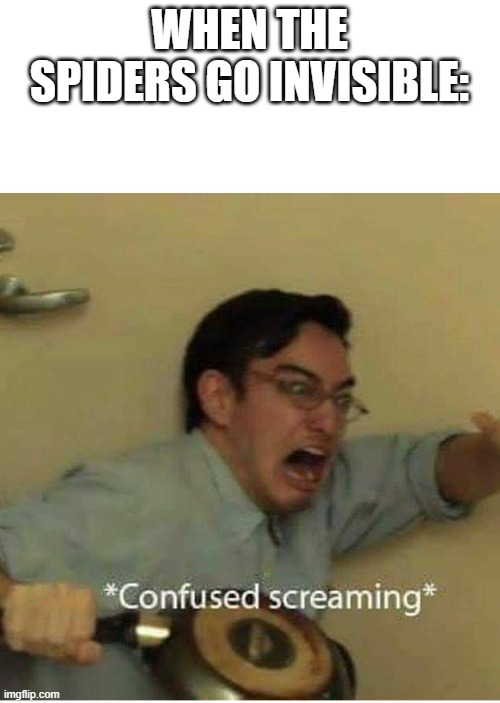 confused screaming | WHEN THE SPIDERS GO INVISIBLE: | image tagged in confused screaming | made w/ Imgflip meme maker
