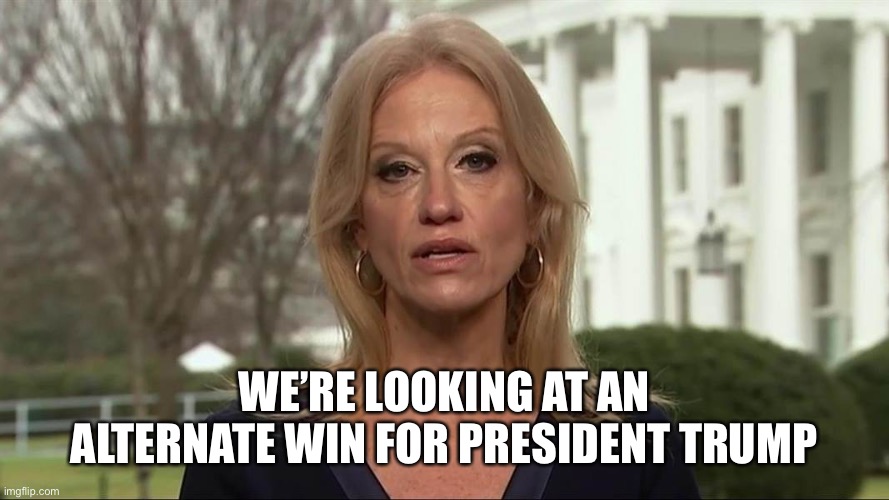 Kellyanne Conway alternative facts | WE’RE LOOKING AT AN ALTERNATE WIN FOR PRESIDENT TRUMP | image tagged in kellyanne conway alternative facts | made w/ Imgflip meme maker