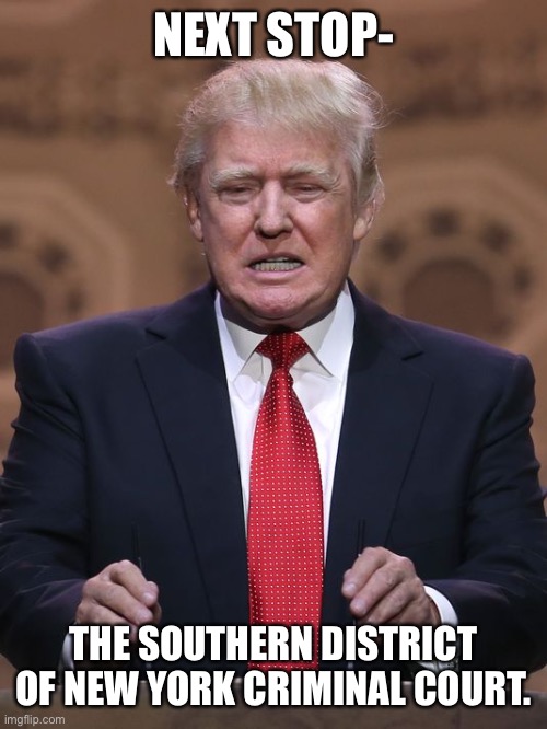 Donald Trump | NEXT STOP-; THE SOUTHERN DISTRICT OF NEW YORK CRIMINAL COURT. | image tagged in donald trump | made w/ Imgflip meme maker
