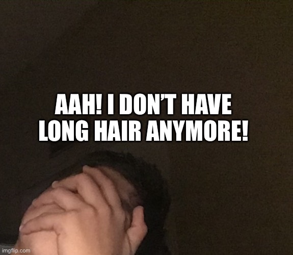 AAH! I DON’T HAVE LONG HAIR ANYMORE! | made w/ Imgflip meme maker