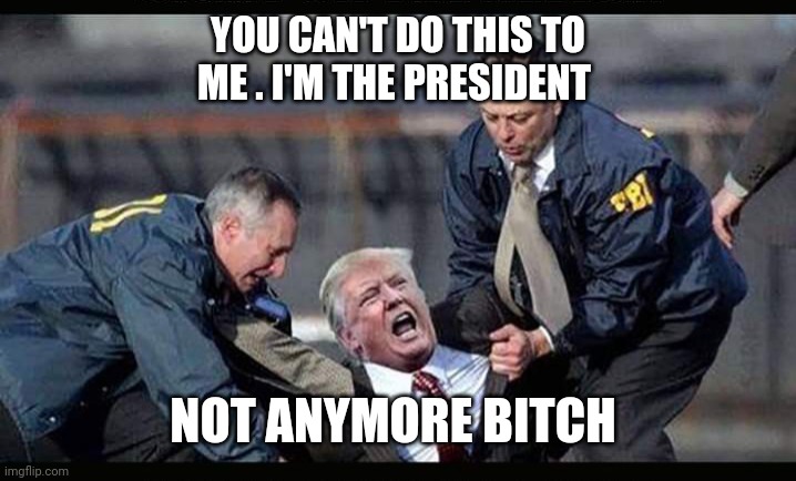 Game over | YOU CAN'T DO THIS TO ME . I'M THE PRESIDENT; NOT ANYMORE BITCH | image tagged in donald trump,politics,police brutality,trump 2020,funny memes | made w/ Imgflip meme maker