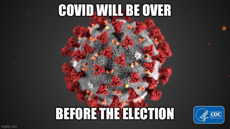 The odds are good.... | COVID WILL BE OVER; BEFORE THE ELECTION | image tagged in covid 19,election,which ends first,over | made w/ Imgflip meme maker