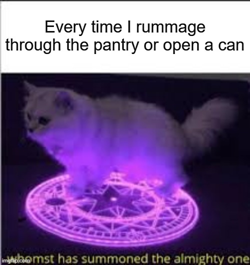 Whomst has Summoned the almighty one | Every time I rummage through the pantry or open a can | image tagged in whomst has summoned the almighty one | made w/ Imgflip meme maker