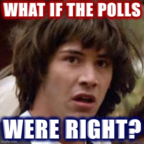 If Righties have their Election Day conspiracy, why not this one? The gap between months of polling & E-Day suggests suppression | WHAT IF THE POLLS; WERE RIGHT? | image tagged in memes,conspiracy keanu,election 2020,2020 elections,polls,conspiracy theory | made w/ Imgflip meme maker