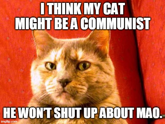 Suspicious Cat |  I THINK MY CAT MIGHT BE A COMMUNIST; HE WON’T SHUT UP ABOUT MAO. | image tagged in memes,suspicious cat | made w/ Imgflip meme maker