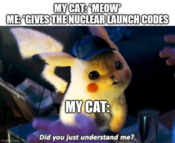 It's all he wanted... | MY CAT: *MEOW*
ME: *GIVES THE NUCLEAR LAUNCH CODES; MY CAT: | image tagged in did you just understand me | made w/ Imgflip meme maker