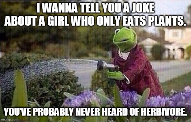 Kermit Watering Plants | I WANNA TELL YOU A JOKE ABOUT A GIRL WHO ONLY EATS PLANTS. YOU’VE PROBABLY NEVER HEARD OF HERBIVORE. | image tagged in kermit watering plants | made w/ Imgflip meme maker