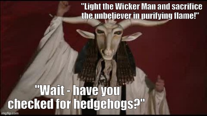 PAGAN | "Light the Wicker Man and sacrifice the unbeliever in purifying flame!"; "Wait - have you checked for hedgehogs?" | image tagged in pagan | made w/ Imgflip meme maker