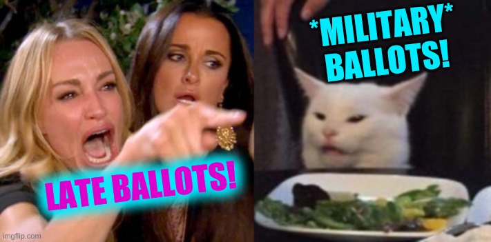 woman yelling at cat cropped | *MILITARY*
BALLOTS! LATE BALLOTS! | image tagged in woman yelling at cat cropped,military,voter fraud,trump loses,election 2020 | made w/ Imgflip meme maker