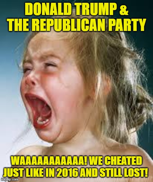Count the Votes Where We're Behind & Stop The Count Where We WERE Ahead! Where's My Binky? | DONALD TRUMP & THE REPUBLICAN PARTY; WAAAAAAAAAAA! WE CHEATED JUST LIKE IN 2016 AND STILL LOST! | image tagged in crying baby,donald trump | made w/ Imgflip meme maker