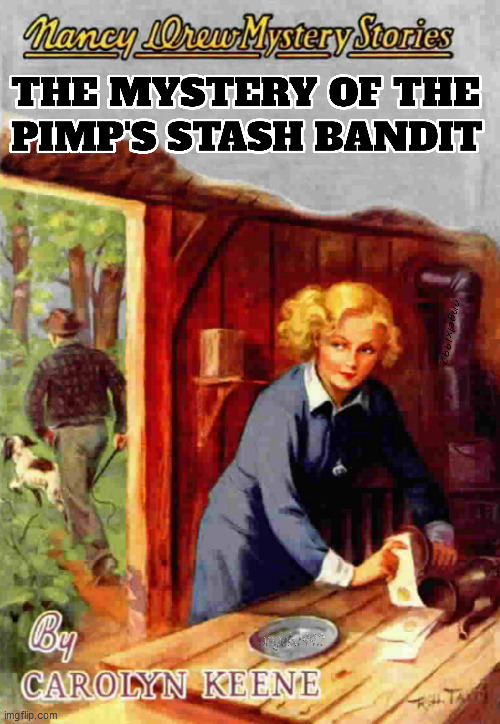 image tagged in nancy drew,pimp,mystery book,mysteries,prostitute,bandit | made w/ Imgflip meme maker