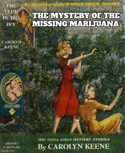 image tagged in nancy drew,mystery book,420,marijuana,weed,mysteries | made w/ Imgflip meme maker