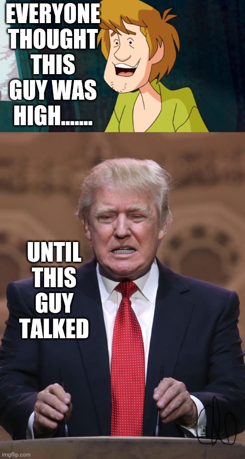 EVERYONE THOUGHT THIS GUY WAS HIGH....... UNTIL THIS GUY TALKED | image tagged in cartoon shaggy 1,donald trump,high,funny meme,memes,cartoon | made w/ Imgflip meme maker
