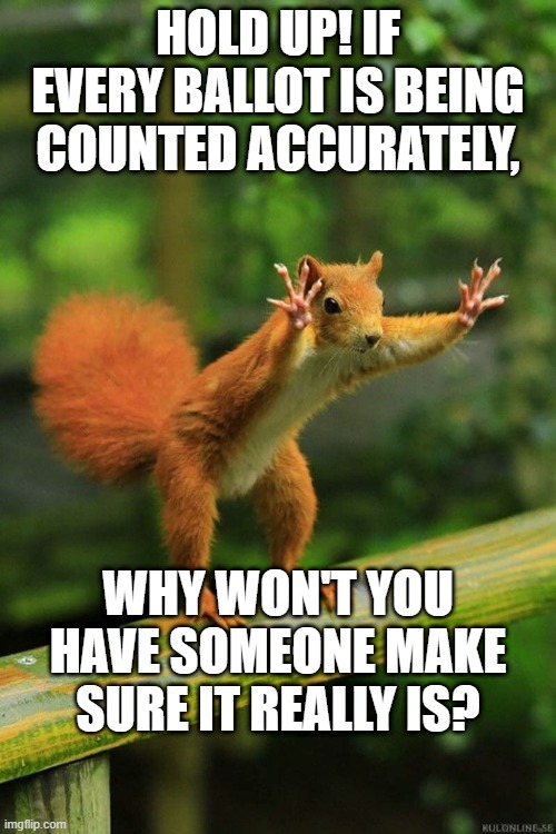 Wait a Minute Squirrel | HOLD UP! IF EVERY BALLOT IS BEING COUNTED ACCURATELY, WHY WON'T YOU HAVE SOMEONE MAKE SURE IT REALLY IS? | image tagged in wait a minute squirrel,election 2020 | made w/ Imgflip meme maker