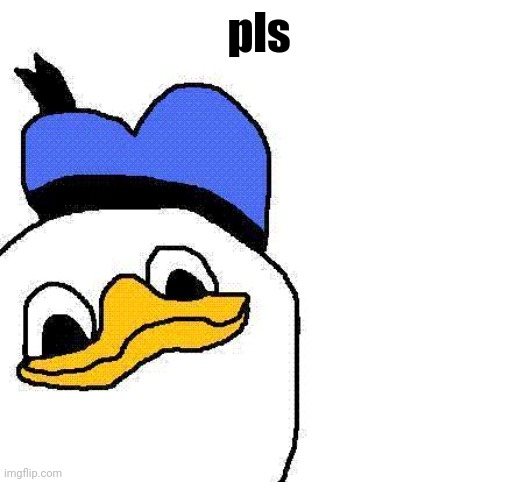 dolan | pls | image tagged in dolan | made w/ Imgflip meme maker