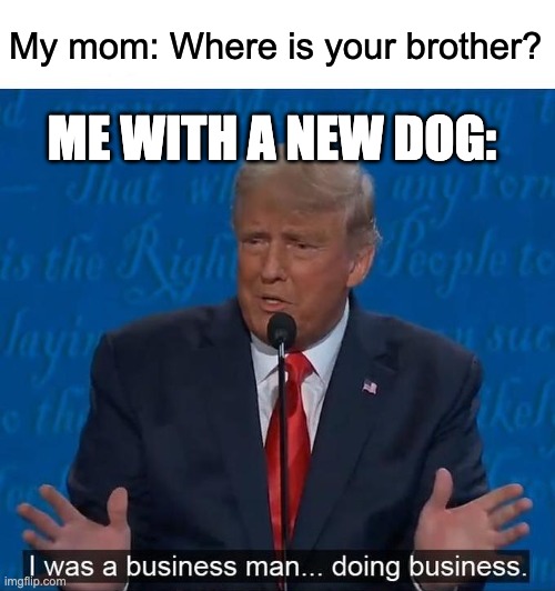 I was a businessman doing business | My mom: Where is your brother? ME WITH A NEW DOG: | image tagged in i was a businessman doing business | made w/ Imgflip meme maker