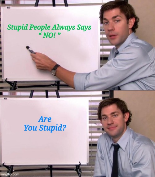 Are You Stupid | Stupid People Always Says
“ NO! ”; Are You Stupid? | image tagged in jim halpert explains,the office,white board | made w/ Imgflip meme maker