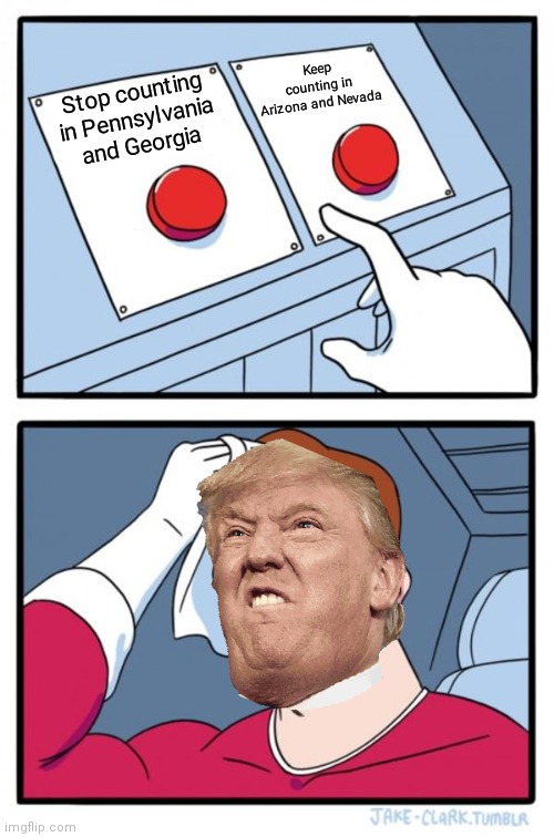 Two Buttons | Keep counting in Arizona and Nevada; Stop counting in Pennsylvania and Georgia | image tagged in memes,two buttons | made w/ Imgflip meme maker