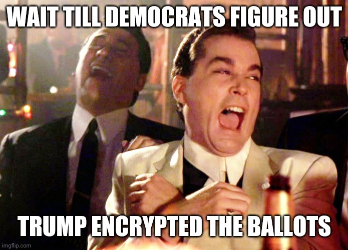 Good Fellas Hilarious | WAIT TILL DEMOCRATS FIGURE OUT; TRUMP ENCRYPTED THE BALLOTS | image tagged in memes,good fellas hilarious | made w/ Imgflip meme maker