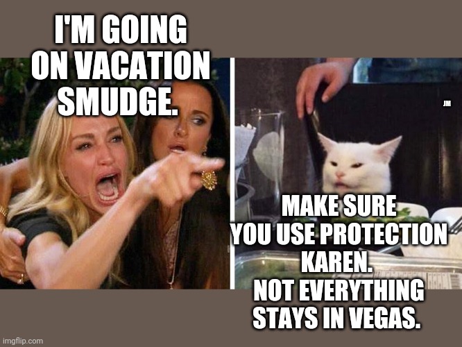 Smudge the cat | I'M GOING ON VACATION SMUDGE. JM; MAKE SURE YOU USE PROTECTION KAREN.  NOT EVERYTHING STAYS IN VEGAS. | image tagged in smudge the cat | made w/ Imgflip meme maker