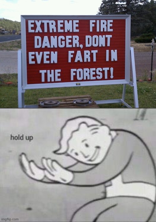 I mean..What!? | image tagged in fallout hold up,memes,stupid signs | made w/ Imgflip meme maker