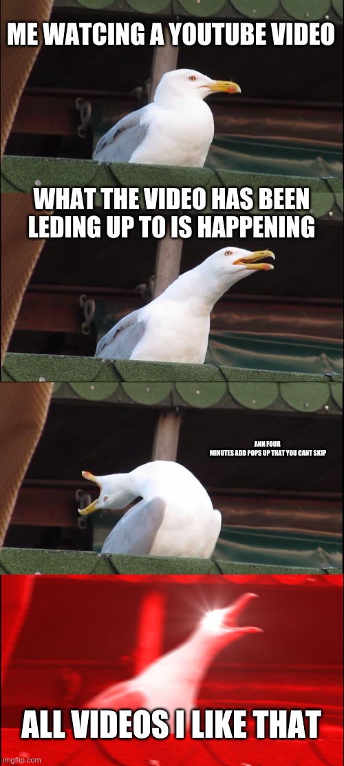 Inhaling Seagull | ME WATCING A YOUTUBE VIDEO; WHAT THE VIDEO HAS BEEN LEDING UP TO IS HAPPENING; ANN FOUR 
MINUTES ADD POPS UP THAT YOU CANT SKIP; ALL VIDEOS I LIKE THAT | image tagged in memes,inhaling seagull | made w/ Imgflip meme maker