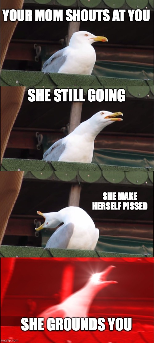 Moms be like | YOUR MOM SHOUTS AT YOU; SHE STILL GOING; SHE MAKE HERSELF PISSED; SHE GROUNDS YOU | image tagged in memes,inhaling seagull | made w/ Imgflip meme maker