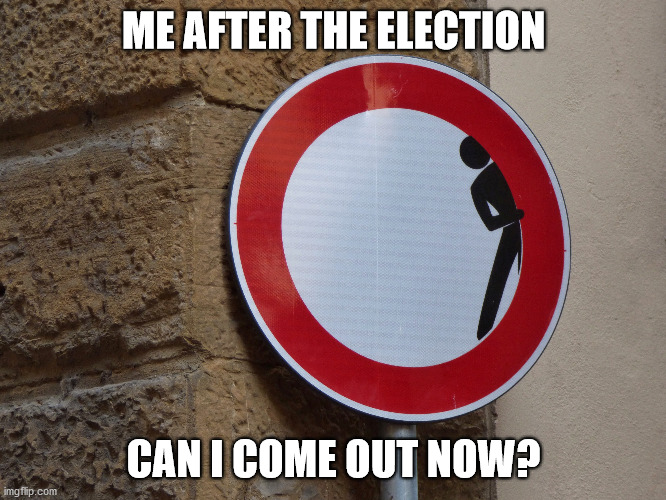 Is it over? | ME AFTER THE ELECTION; CAN I COME OUT NOW? | image tagged in funny signs,fun,memes,hiding,scared,funny | made w/ Imgflip meme maker