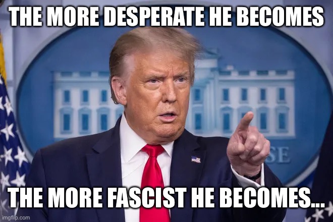 The face of a sore loser | THE MORE DESPERATE HE BECOMES; THE MORE FASCIST HE BECOMES... | image tagged in donald trump | made w/ Imgflip meme maker