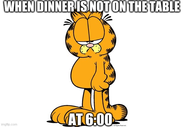 Grumpy Garfield | WHEN DINNER IS NOT ON THE TABLE; AT 6:00 | image tagged in grumpy garfield | made w/ Imgflip meme maker