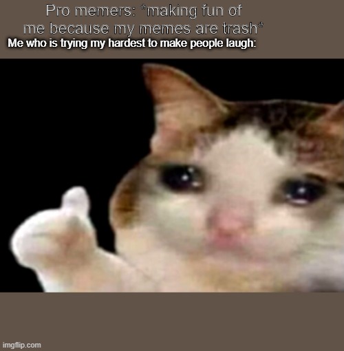 Sad cat thumbs up | Pro memers: *making fun of me because my memes are trash*; Me who is trying my hardest to make people laugh: | image tagged in sad cat thumbs up | made w/ Imgflip meme maker