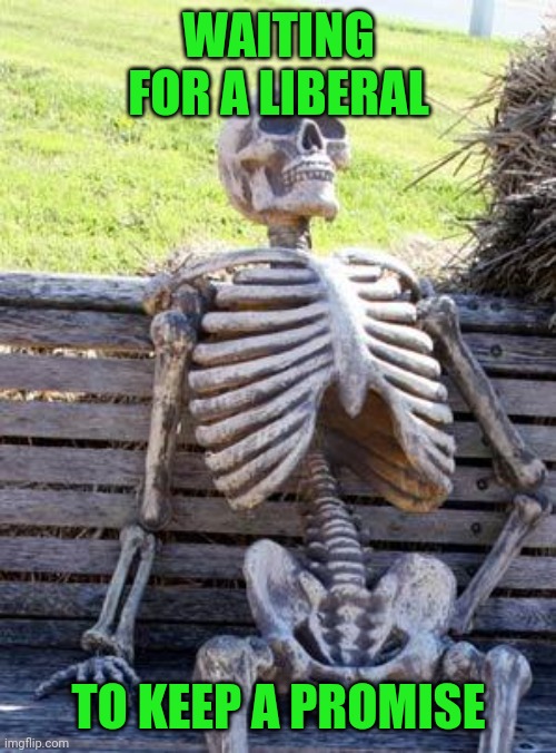 Waiting Skeleton Meme | WAITING FOR A LIBERAL TO KEEP A PROMISE | image tagged in memes,waiting skeleton | made w/ Imgflip meme maker