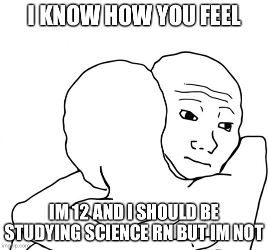 I Know That Feel Bro Meme | I KNOW HOW YOU FEEL IM 12 AND I SHOULD BE STUDYING SCIENCE RN BUT IM NOT | image tagged in memes,i know that feel bro | made w/ Imgflip meme maker